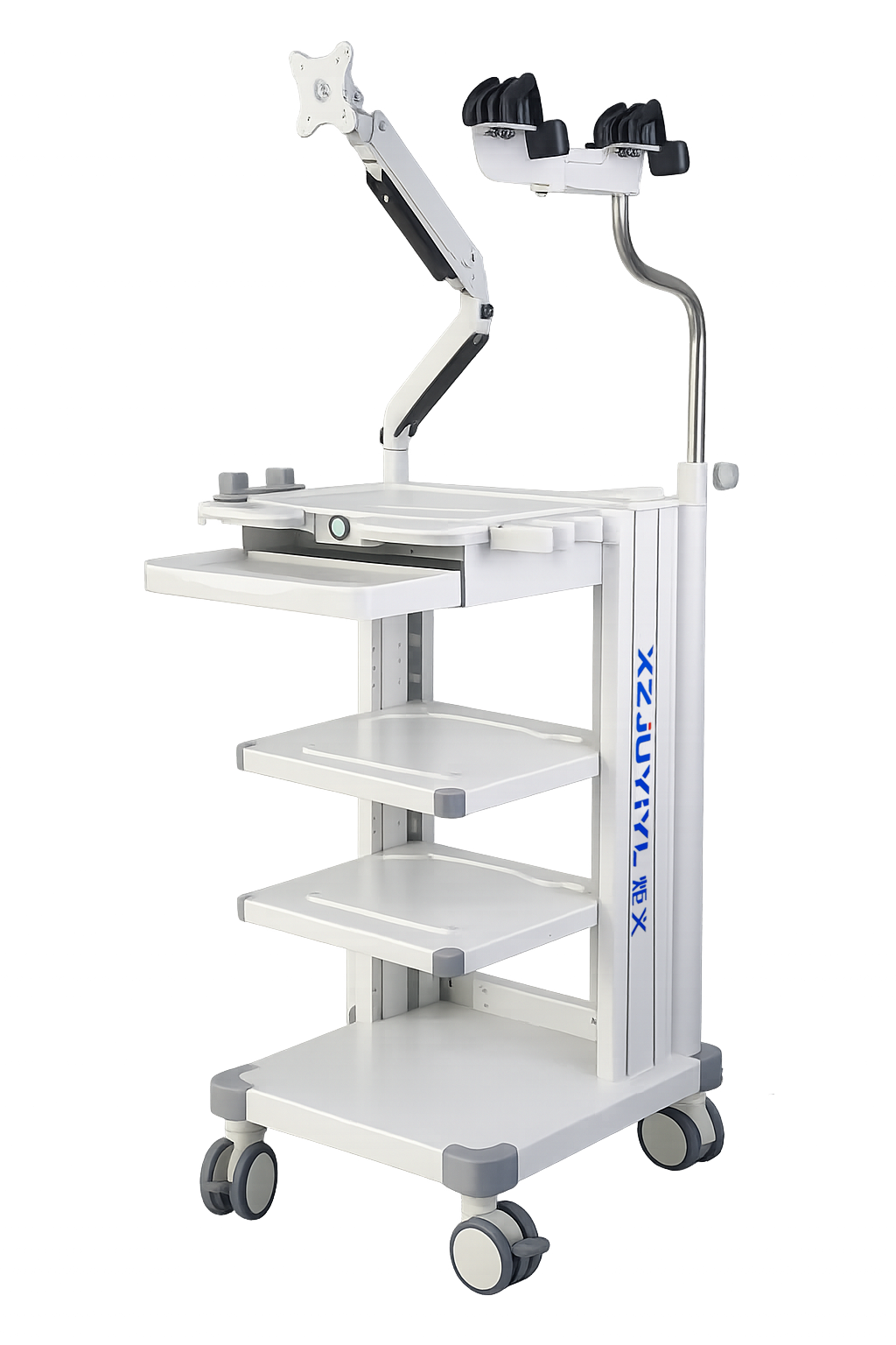 Flexible Endoscopy Carts