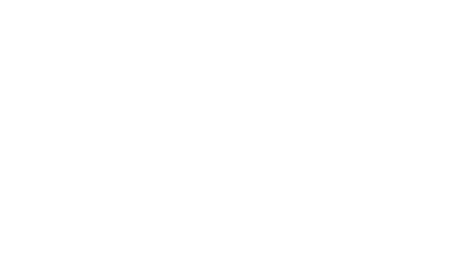 Karl Storz-logo